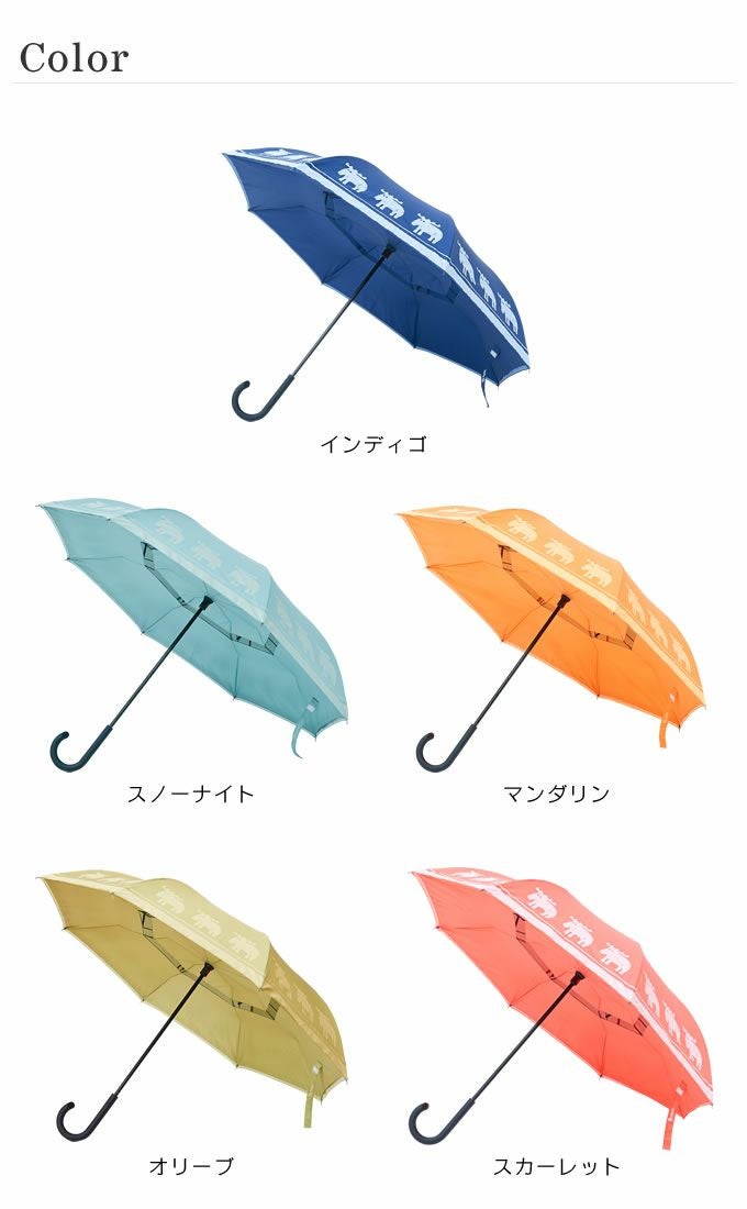定価6万円　イルマルケザート　傘 2重傘 circus サーカス×moz モズ | エクリティ本店
