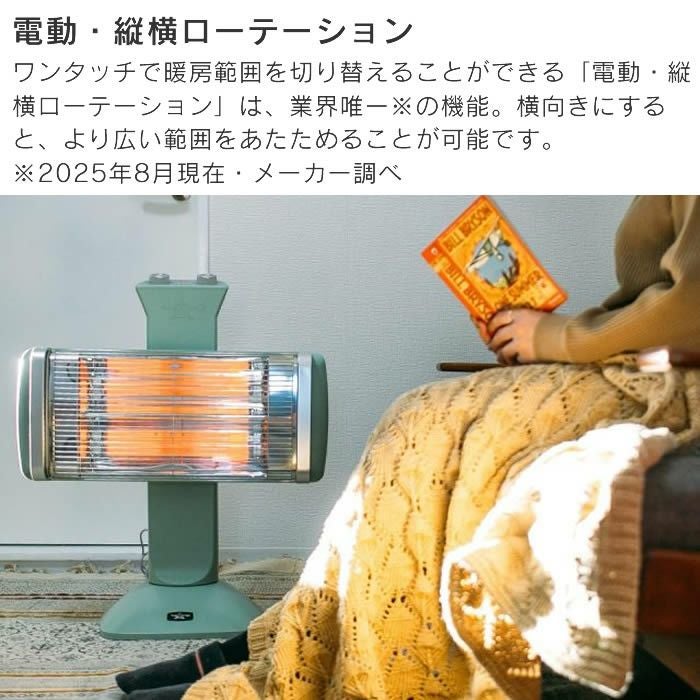 Aladdin アラジン グラファイトヒーター 2灯管 暖房家電